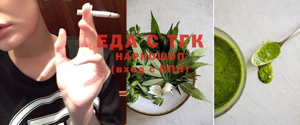 индика Долгопрудный