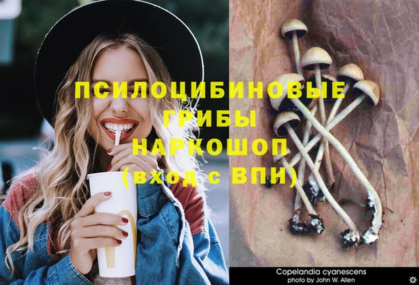 mdpv Баксан